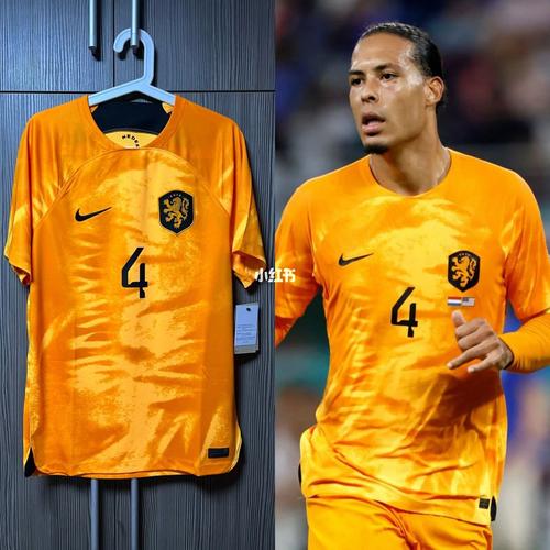 2024欧洲杯荷兰球衣（21年欧洲杯荷兰队）