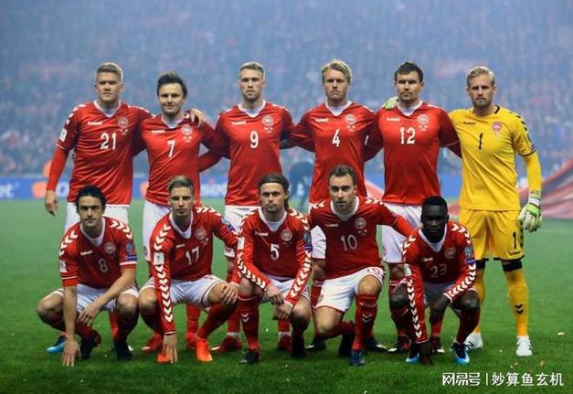 欧洲杯挪威结果（2020年欧洲杯挪威队阵容）