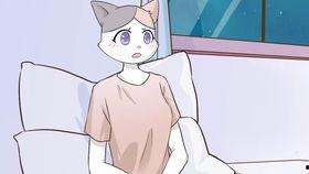 国产动漫打戏讲解视频,领略国漫动作场面的魅力与技巧