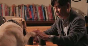 国产精彩对白小视频