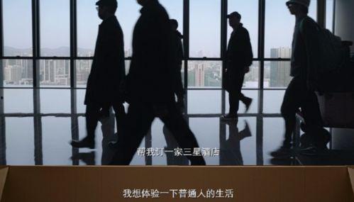 近期国产电影抢劫案例视频,惊心动魄的犯罪现场还原